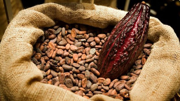 Hoy 7 de julio se celebra el día mundial del cacao