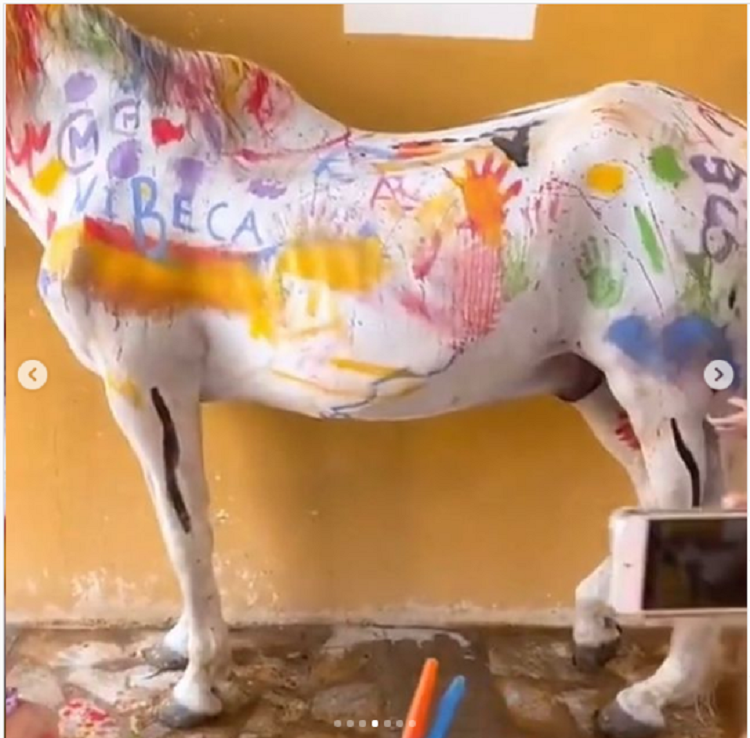 Indignación en redes por curso de manualidades donde los niños pintan a un caballo