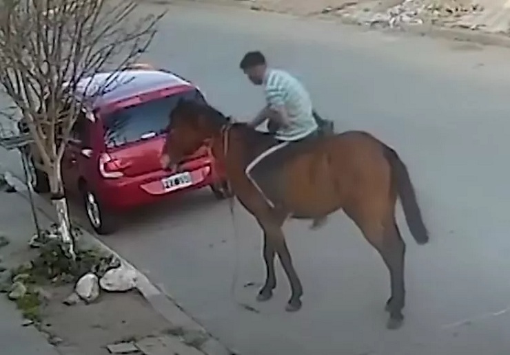 Ladrón a caballo se llevó una silla de bebé de un carro (+video)