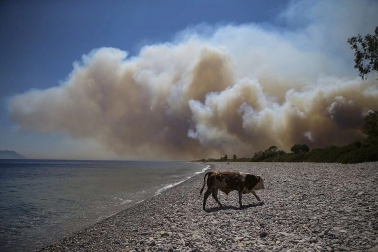 La ciencia admite ya efectos irreversibles del cambio climático en el planeta