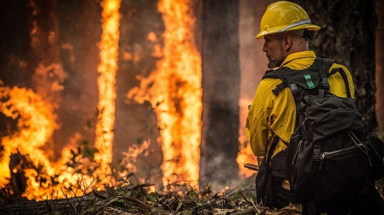 Incendios en Argelia dejan 42 muertos, incluidos 25 soldados