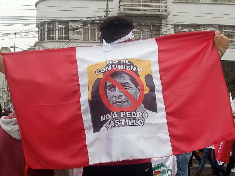 Marchan en Lima contra el gobierno de Pedro Castillo