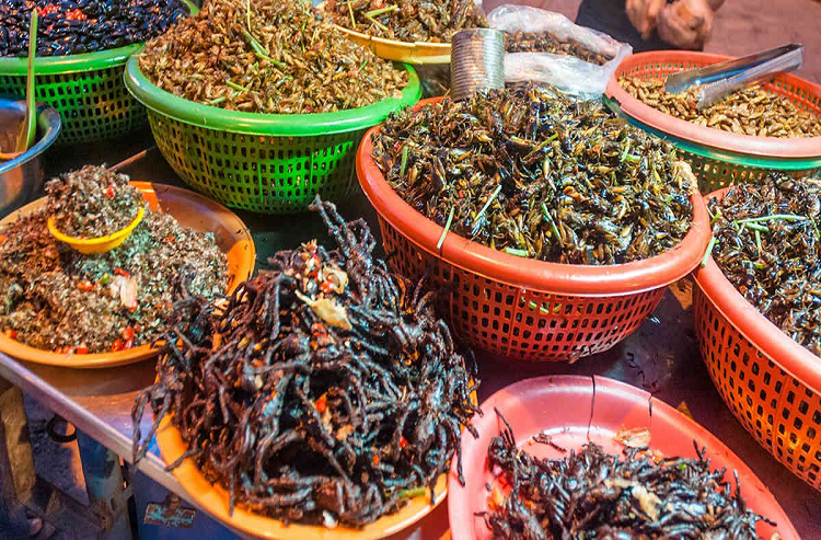 Nueva fuente de proteína barata: Supermercados de Portugal venderán insectos