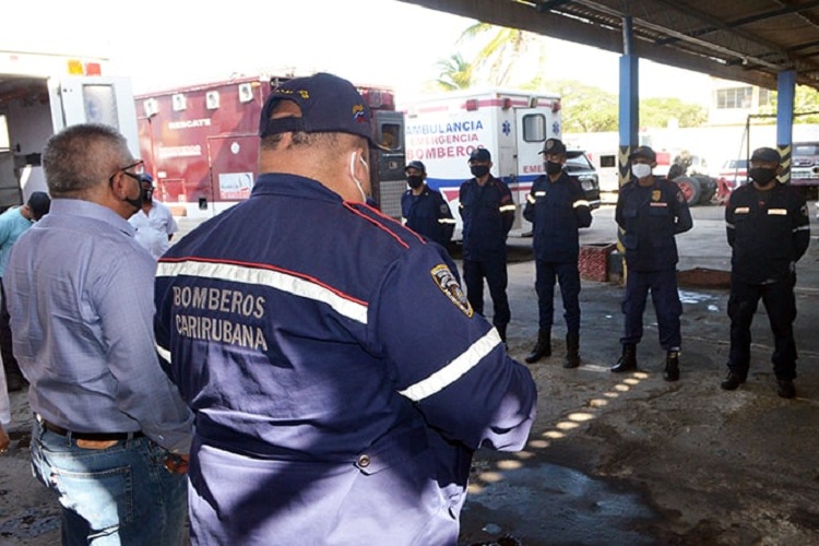 8 adultos y 5 caninos en Punta Cardón fueron picados por abejas africanas y Bomberos Carirubana las exterminan