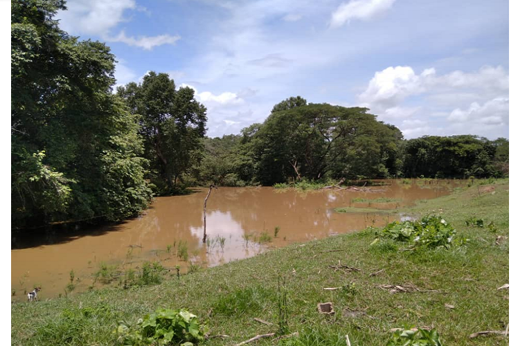 Niña de tres años y un agricultor murieron ahogados en el río Neverí