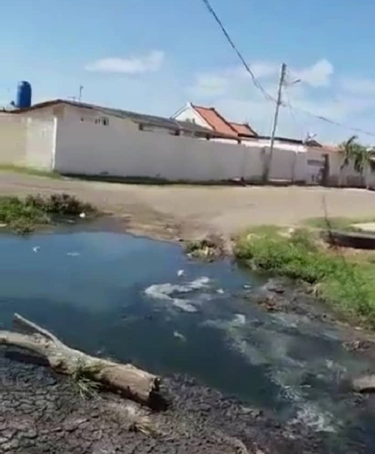 Denuncian contaminación por aguas negras en el sector El Señorial de Puerta Maraven
