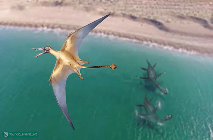 El «dragón volador» del Jurásico aparece por primera vez en el hemisferio sur