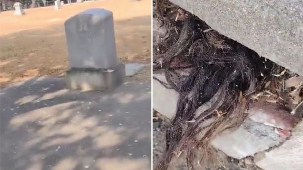 Grabó una tumba de 100 años y descubrió que salía cabello de su interior