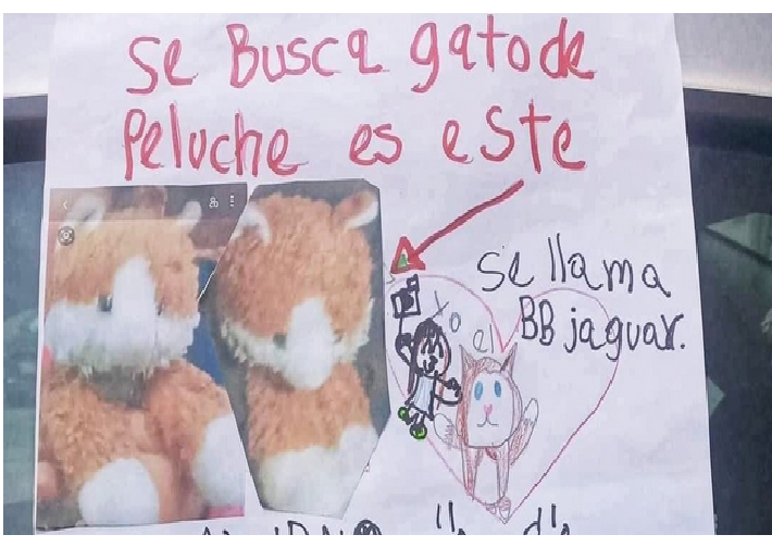 Niña ofrece un dulce y 20 pesos por su gato de peluche perdido