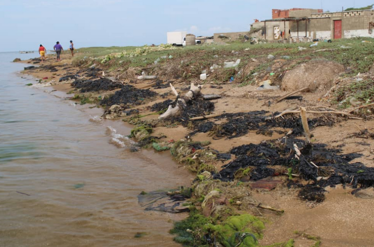 Fotos: Playas de Punta Cardón en alerta por derrame de crudo