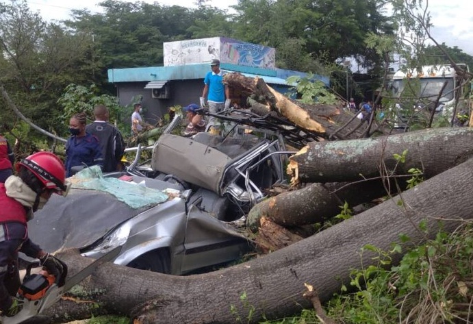 Adulto mayor murió aplastado por el árbol que cayó en Guarenas