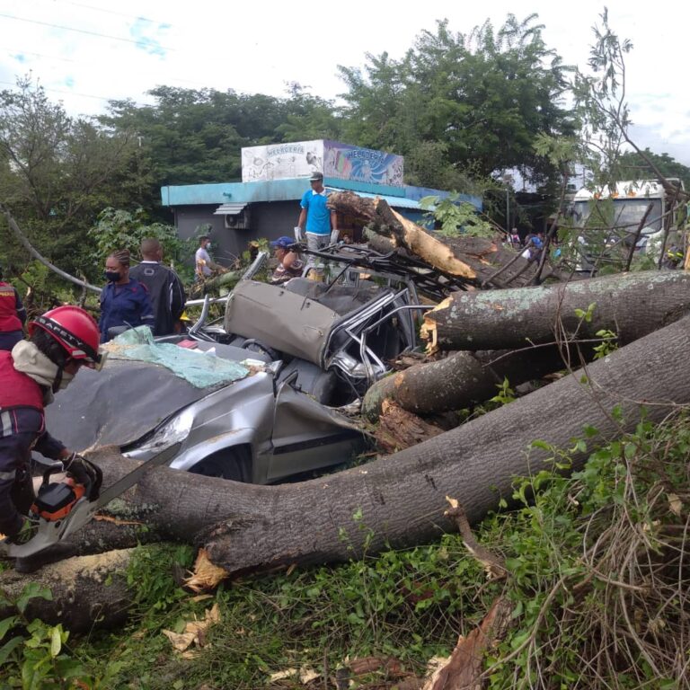 Personas quedaron atrapadas tras caída de un árbol en Guarenas