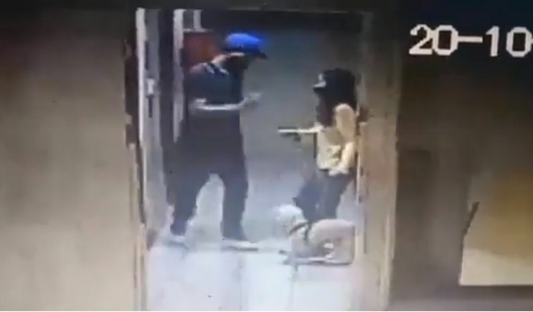 Hombre patea brutalmente a perro guía de una  invidente(+Video)