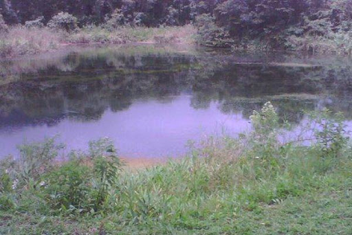 Una mujer descuartizada fue encontrada en una laguna en Portuguesa