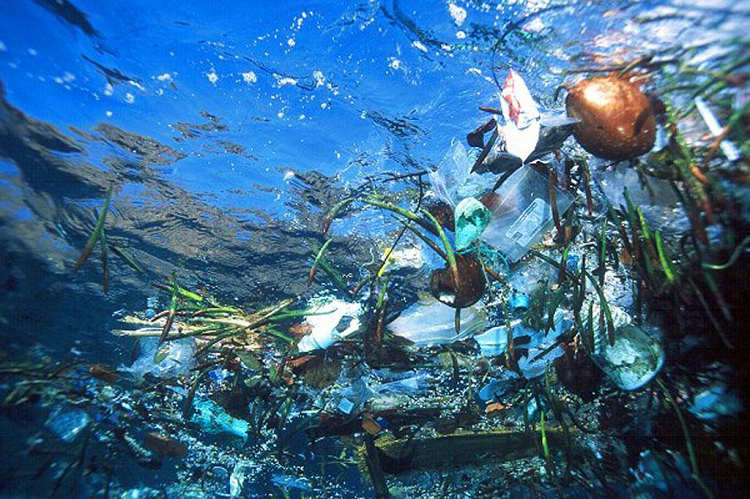 Más de 3700 toneladas de plásticos flotan en el Mediterráneo