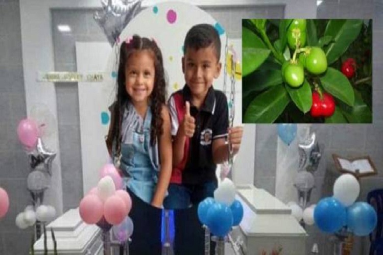 Mueren dos niños venezolanos al comer extraño fruto en Colombia