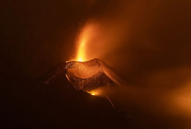 Abejas sobreviven 50 días sepultadas bajo ceniza  del volcán de La Palma