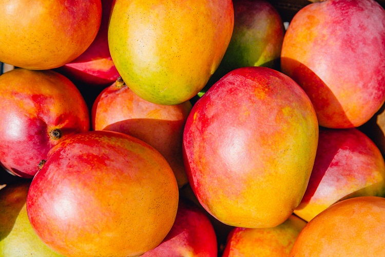 EE.UU. autoriza exportación de mango colombiano