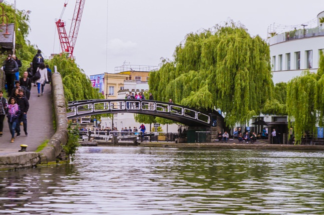 El río Támesis de Londres alberga  tiburones venenosos