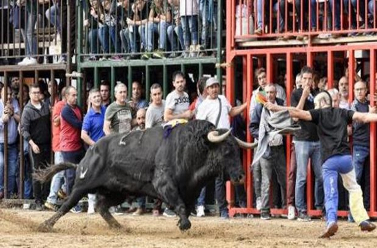 España: Muere un hombre tras ser corneado por un toro en una fiesta popular