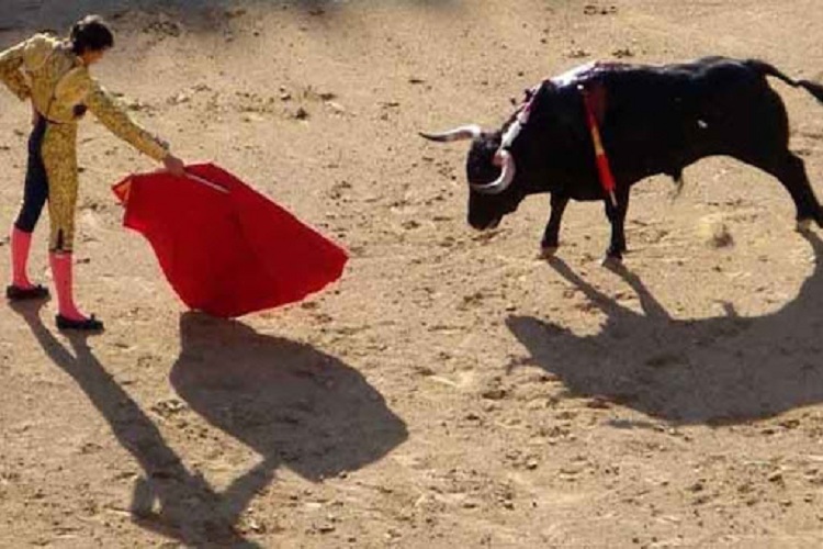 Corridas de toros en Maracay son suspendidas por orden judicial (+Saab)