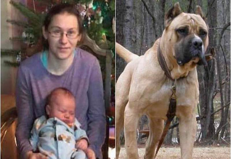 Madre muere al defender a su hijo de un brutal ataque de pitbull