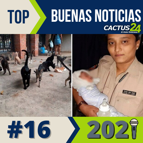 TOP21 Buenas Noticias del 2021: #16 Bebé es rescatada de una alcantarilla gracias a unos gatos