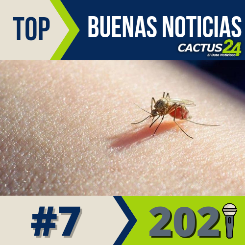 TOP21 Buenas Noticias del 2021:#7 la OMS aprueba la primera vacuna contra la Malaria