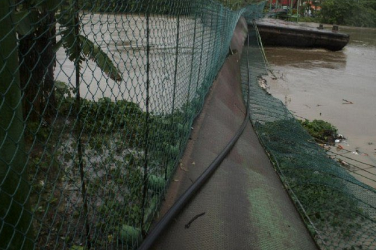 Puente colgante en México se desploma y deja al menos 23 heridos