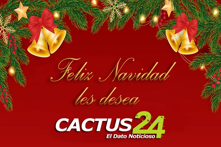 Desde Cactus24 les deseamos a todos una ¡feliz Navidad!