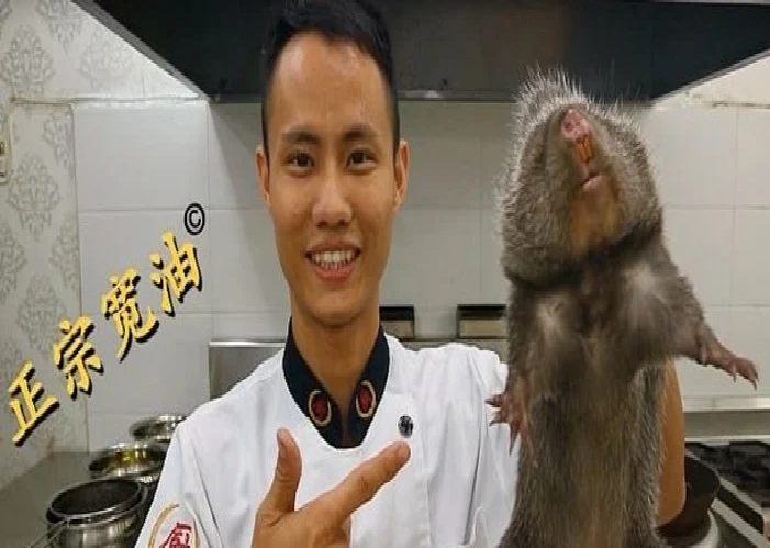 Las enormes ratas que criaron en China como plato gourmet