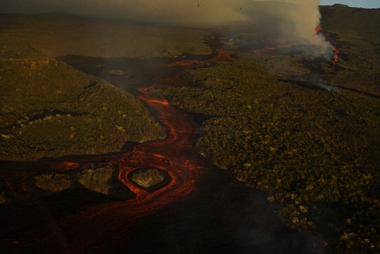 El volcán Wolf, santuario de las iguanas terrestres rosadas entra en erupción