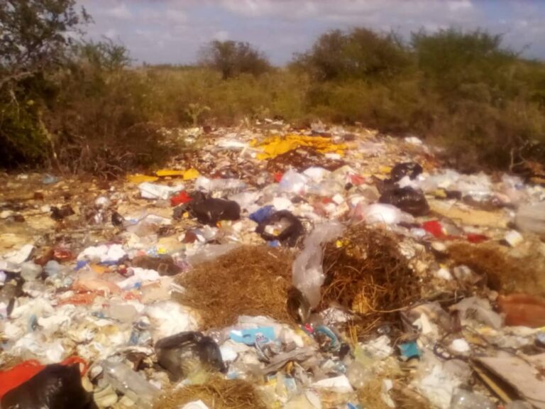 Denuncian acumulación de basura en El Oasis