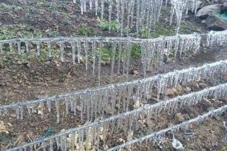 Páramo Andino de Mérida sigue registrando bajas temperaturas