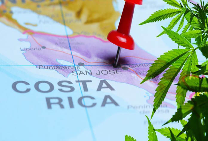 Congreso de Costa Rica legaliza el cannabis medicinal y el cáñamo