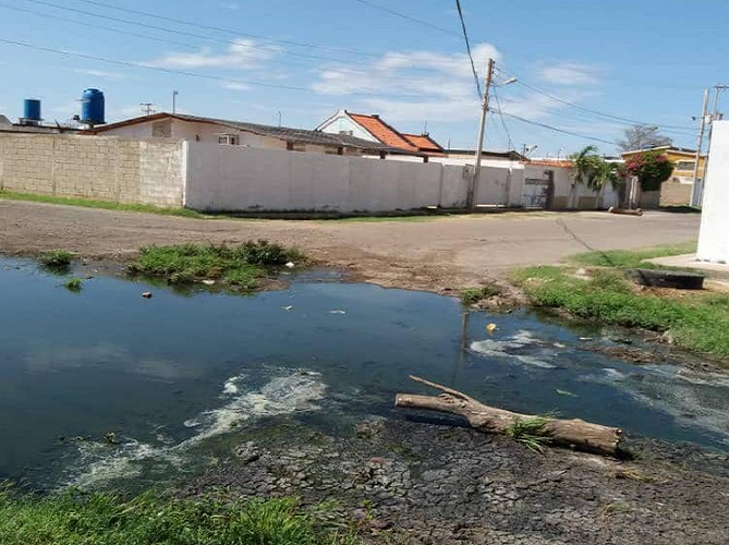 Punto Fijo| Aguas putrefactas invaden la urbanización El Señorial desde hace ocho años