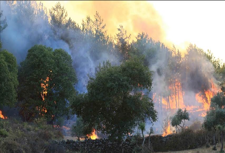 Falla de internet en Boconó ocurrió por incendios forestales