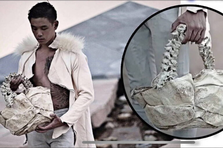 Brasil investiga tráfico de órganos humanos para un diseñador de modas de Singapur