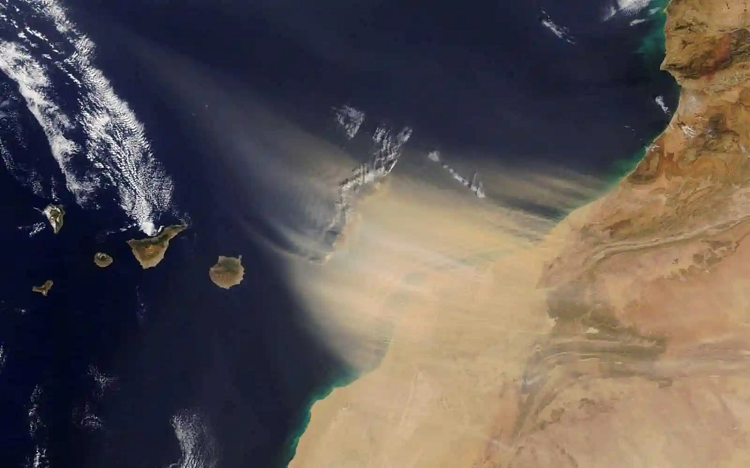 Inameh prevé que polvo del Sahara estará presente en Venezuela hasta el 18 de febrero