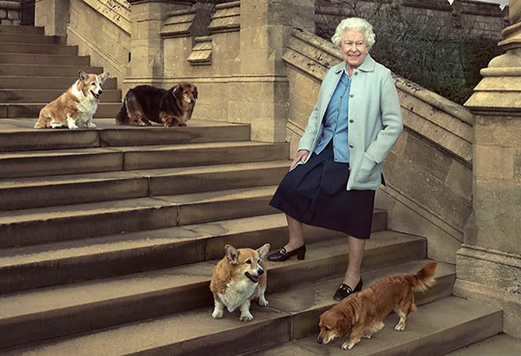 Isabel II está tan «frágil» que ni siquiera puede pasear a sus perros