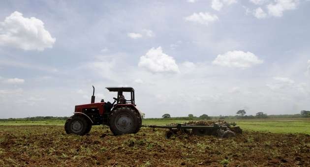 Agricultores de Portuguesa preparan sus tierras en espera de insumos y créditos agrícolas