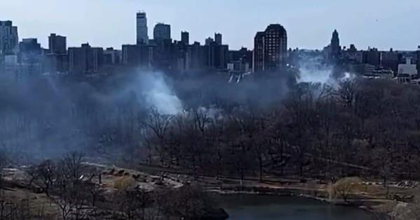 Central Park de Nueva York registra 10 incendios