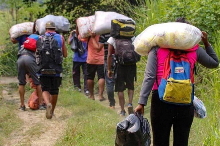 Nueva ola de migrantes venezolanos llega a la región del Urabá antioqueño para atravesar la selva del Darién