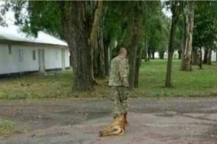 Encontraron muerto a militar acusado de asesinar a un perro callejero en Argentina