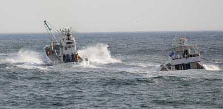 10 muertos y 16 desaparecidos en naufragio de crucero en Japón