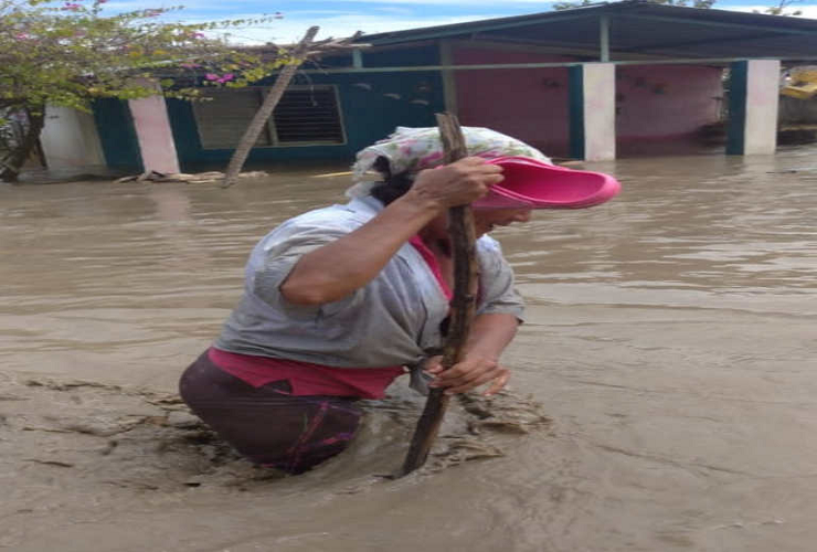 Fedenaga: Las pérdidas por inundaciones en el Sur del Lago pudieron haberse evitado