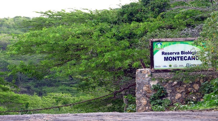 Al monumento natural Montecano le urge cuidado y preservación