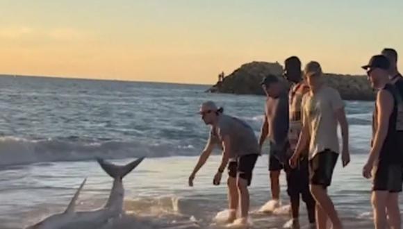 Bañistas ayudan a tiburón de dos metros varado a orillas de una playa en Australia (+video)