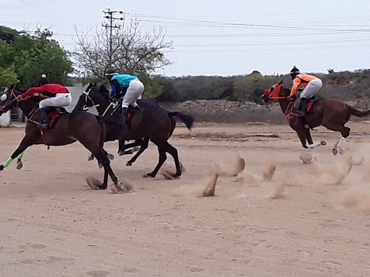  “The Niggas Maxi” ganó Copa Policarirubana en el hipódromo de Paraguaná