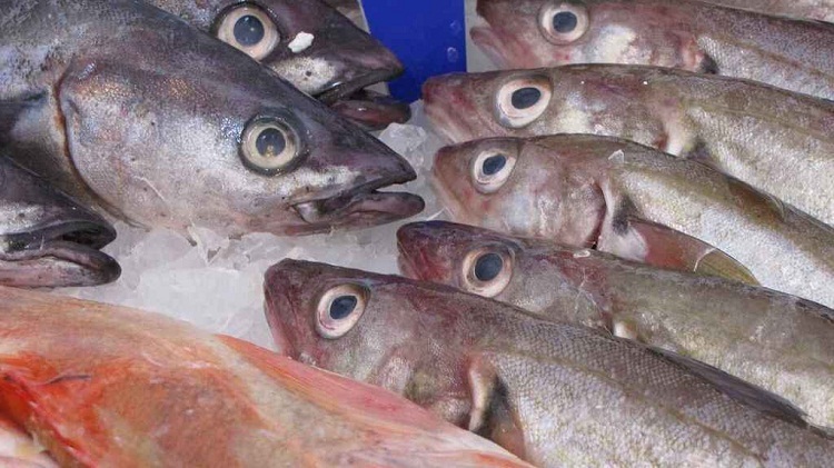 Estos son los precios del pescado para Semana Santa